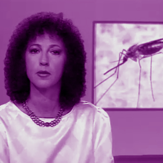 פרק 118: אין שום יתוש בעולם