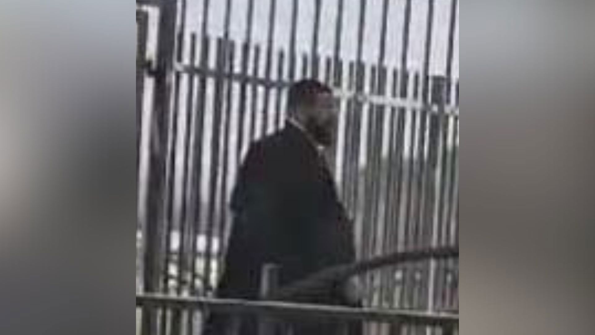 הרב בנימין זאב פפנהיים