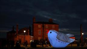 פסטיבל אומנות ליברפול אירוויזיון