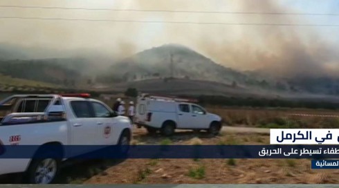 النشرة المسائية