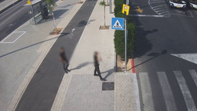 נערים שנעצרו בחשד שתכננו פיגוע בת"א 13.11.23
