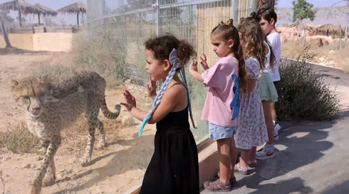 מלכת האריות: האישה מאחורי גן החיות בבאר שבע - שלא זכתה לראותו