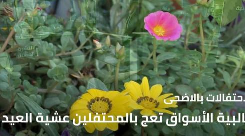 النشرة المسائية مع وسيم كيوف 19.7.2021