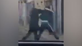 מתוך תיעוד התקרית האנטישמית בעיר אורליאן בצרפת, אתמול