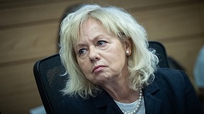 היועמ"שית גלי בהרב מיארה בכנסת