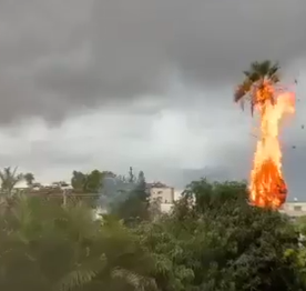 עץ דקל בוער לאחר פגיעת ברק