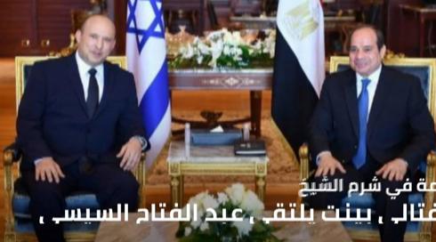 المسائية 13.9