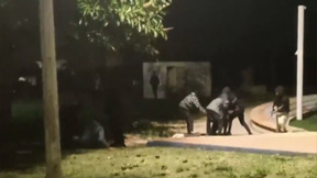 מארב גזעני באשקלון: צעירים ארבו לעובדים זרים מהודו ותקפו אותם בפארק