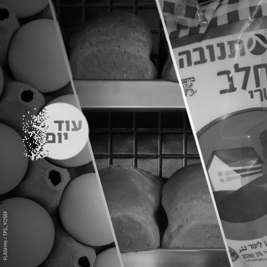 מוצרים בפיקוח.צילום: פלאש 90 cat28053_img538792590.jpg