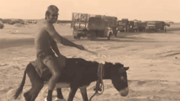 50 שנה למלחמת יום כיפור