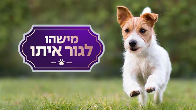 מישהו לגור איתו