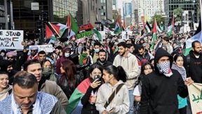 הפגנה פרו פלסטינית בקנדה