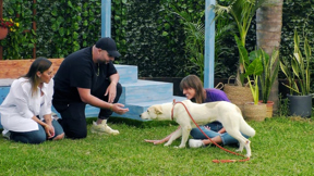 מישהו לגור איתו פרק 2