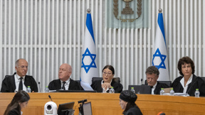 שופטי העליון בבג"ץ עילת הסבירות