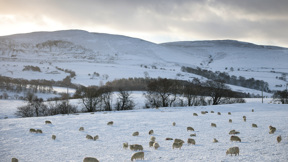 שלג מכסה את הגבעות בוויילס