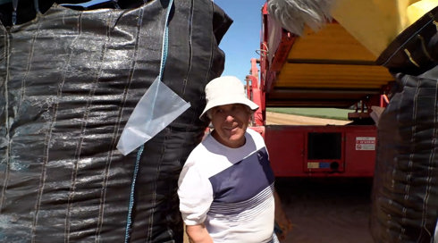 הלחימה בעזה התחדשה - אבל בחממה אחת בעוטף לא נשברים