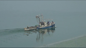 הכנרת נפתחה לרחצה - אבל אין מים