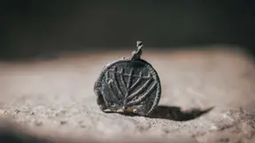 התליון שאותר