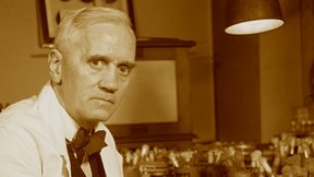 אלכסנדר פלמינג