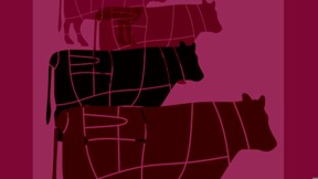 כריכת הספר "מצעד הבהמות"