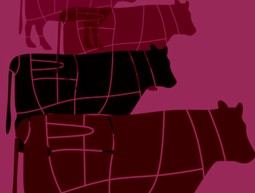 כריכת הספר "מצעד הבהמות"