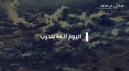 النشرة المسائية 