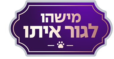 מישהו לגור איתו