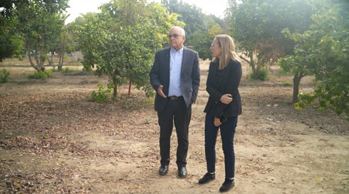 "אם יש קשרים - מי צריך פרוטקציות?": טענות לבריונות ברשות העתיקות