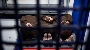 מחבלי נוח'בה בבית סוהר במרכז הארץ, מרץ 2025