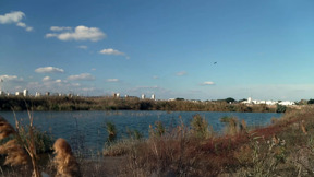 גם התנינים יחזרו? המבצע מפתיע להחייאת הביצות