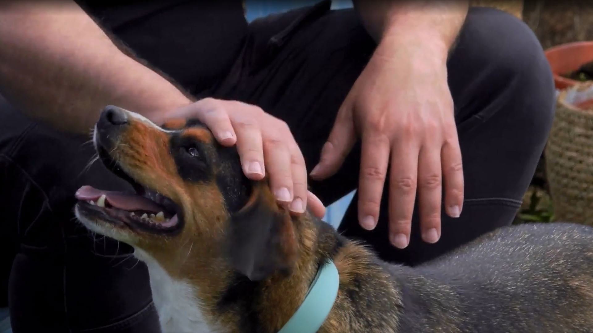 מישהו לגור איתו- הצצה