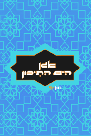  אגן הים התיכון 