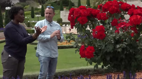 תיאוריות קונספירציה? מקלט אטומי? הצחקתם את הבהאים