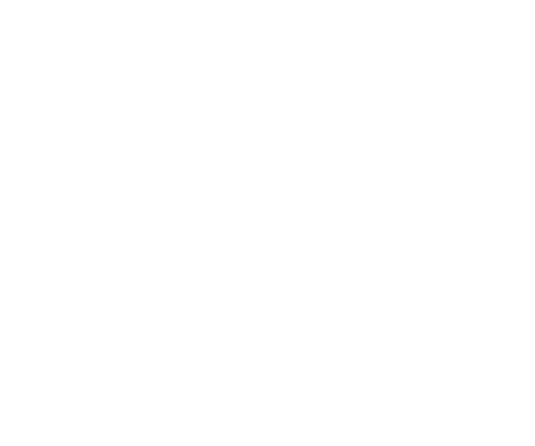 בקצה המזח