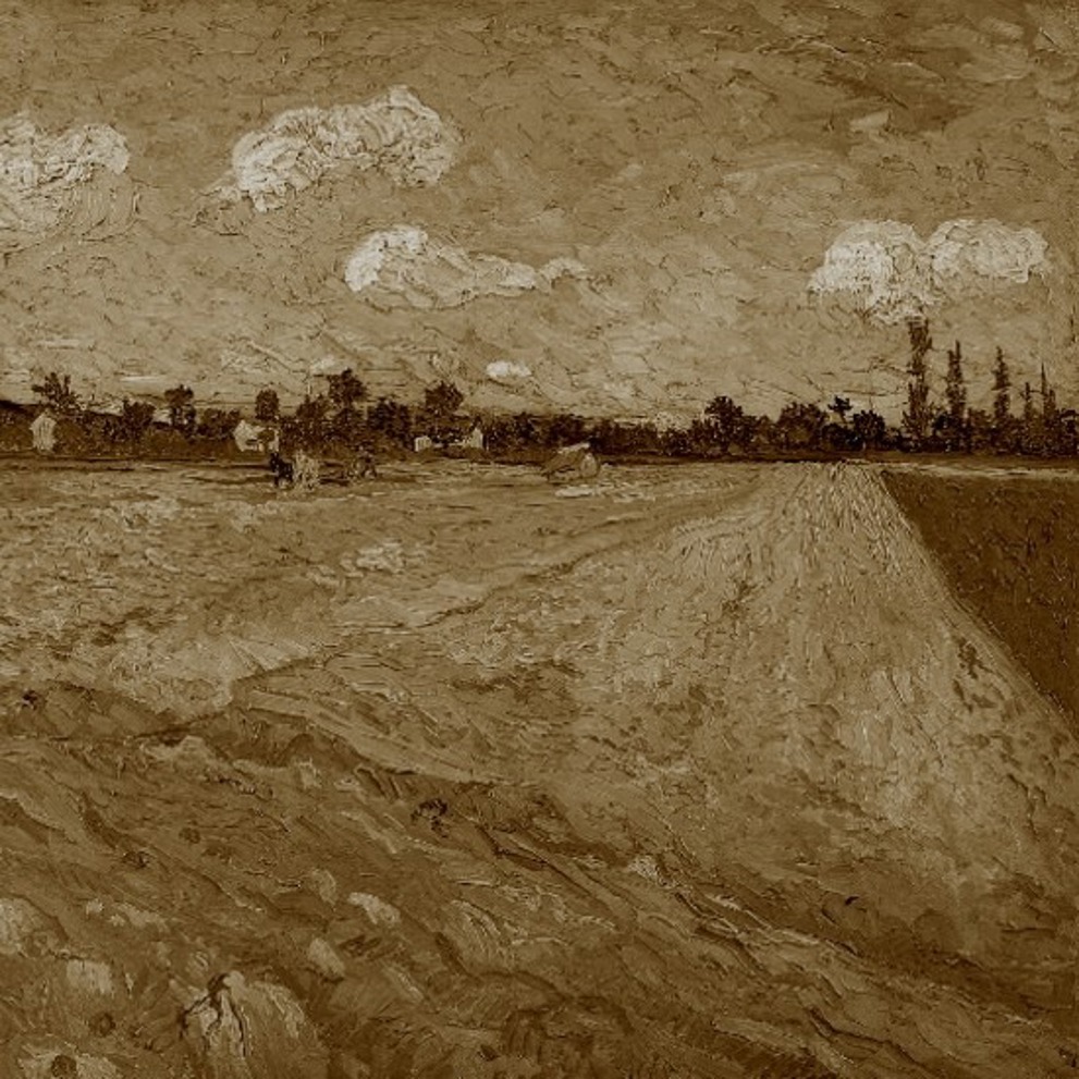 Whatsapp Image 2025 11 27 At 19.45.11שדה חיטה של ואן גוך