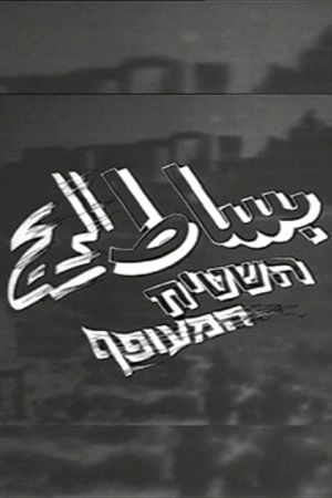 239.360 بساط الريح