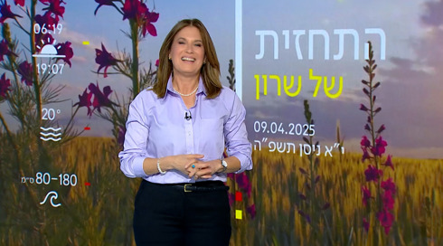 התחזית: ירידה משמעותית בטמפרטורות