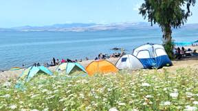 נופשים בחוף כורסי בכינרת