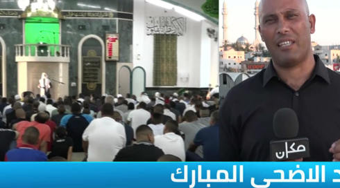 النشرة المسائية