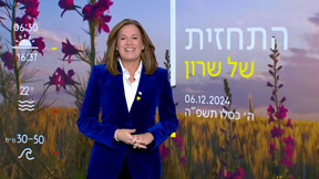 תחזית (13)