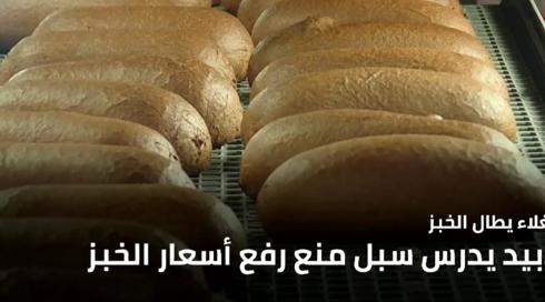 نشرة