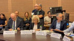 גלי בהרב מיארה בוועדת החוקה