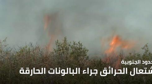 نشرة