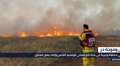 النشرة المسائية