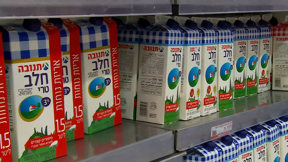 רגע לפני שבועות: מוצרי החלב שעומדים לעלות לנו יותר