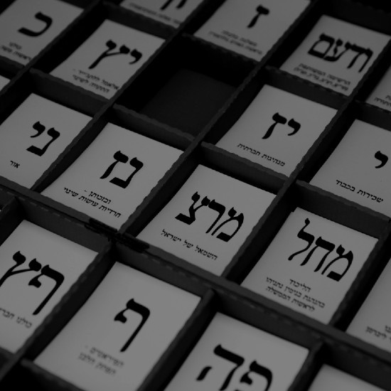 פתקי הצבעה.נתי שוחט, פלאש 90 cat20961_img598765949.jpg