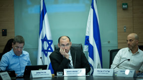 שמחה רוטמן, ועדת החוקה