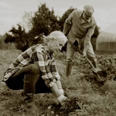 זוג מבוגרים עובדים בגינה