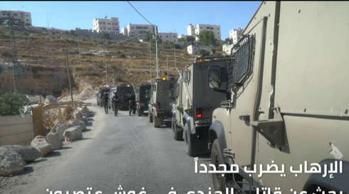 النشرة المسائية