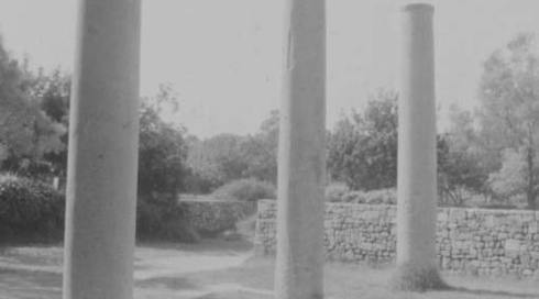 סיור באשקלון - קל